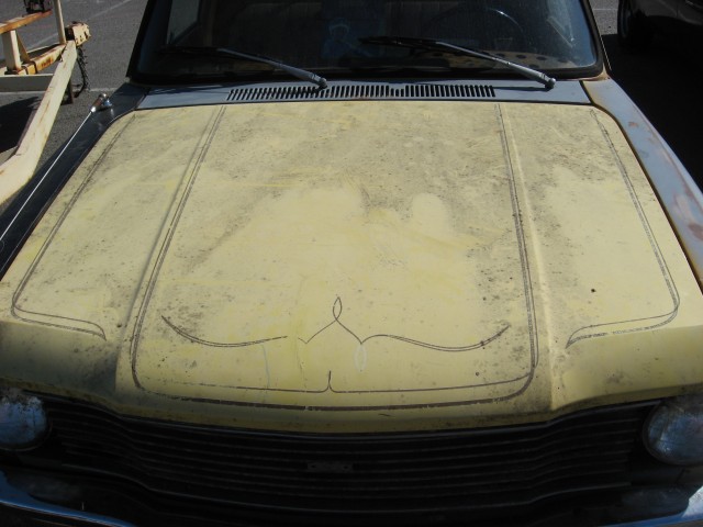 Project trucks and Batmobile 007.JPG