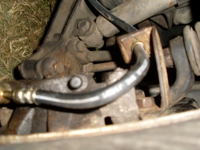 SL370481.JPG