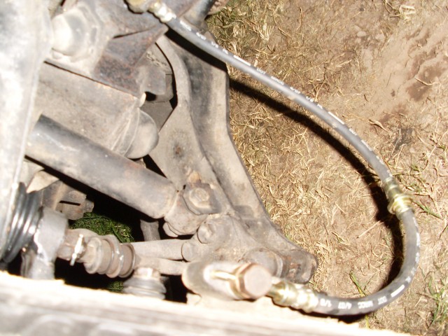 SL370484.JPG