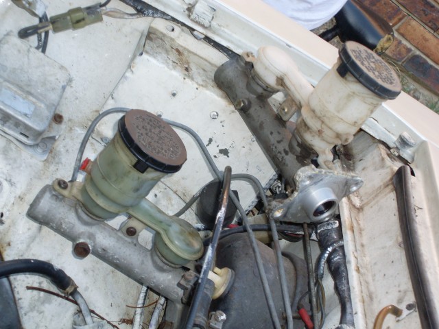 SL370490.JPG