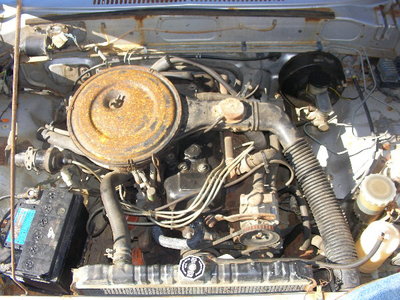 SANY1410.JPG