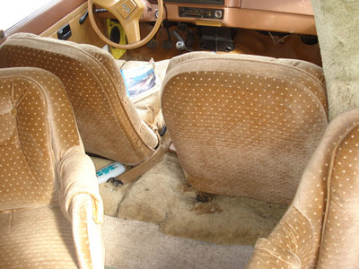 luvcamperinterior.jpg