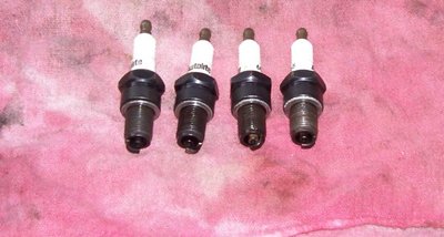 Wet Plugs.JPG