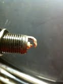 spark plug2.jpg