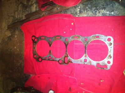 head gasket.JPG