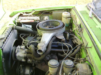 greenluv 008.jpg