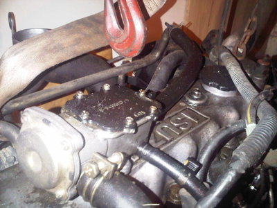 IMG00170-20111219-1931.jpg
