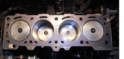 HEADGASKET 2.jpg