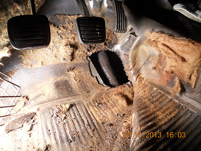 HEADER FLOOR.jpg