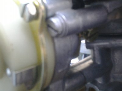 Fig 1.jpg