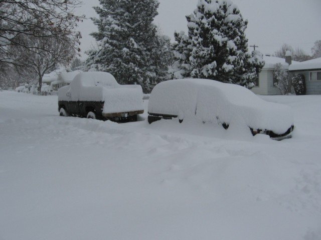 snowluv 001.jpg