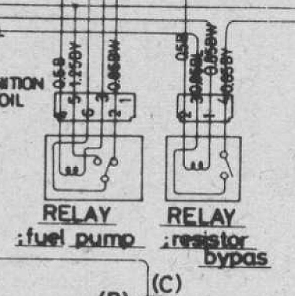 relay snapshot.jpg