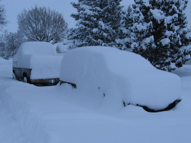 snowluv 006.jpg