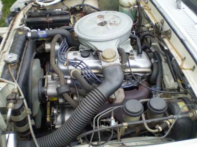 P2160167.JPG